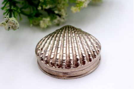 Caixa de comprimidos em prata em forma de concha com relevos e tampa basculante